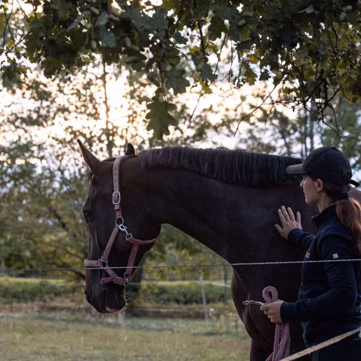 Une femme en casquette caresse l'encolure d'un cheval foncé tenu au licol et à la longe, dans un pré sous les arbres.