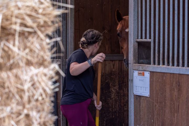 Une femme en legging prune et chaussettes rayées nettoie un box à la fourche, un cheval roux à la porte, paille au sol.