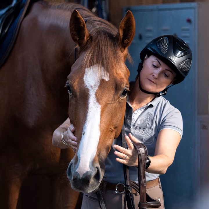 Une cavalière en casque ajuste le filet d'un cheval alezan à liste blanche, la selle déjà posée, devant un casier bleu.