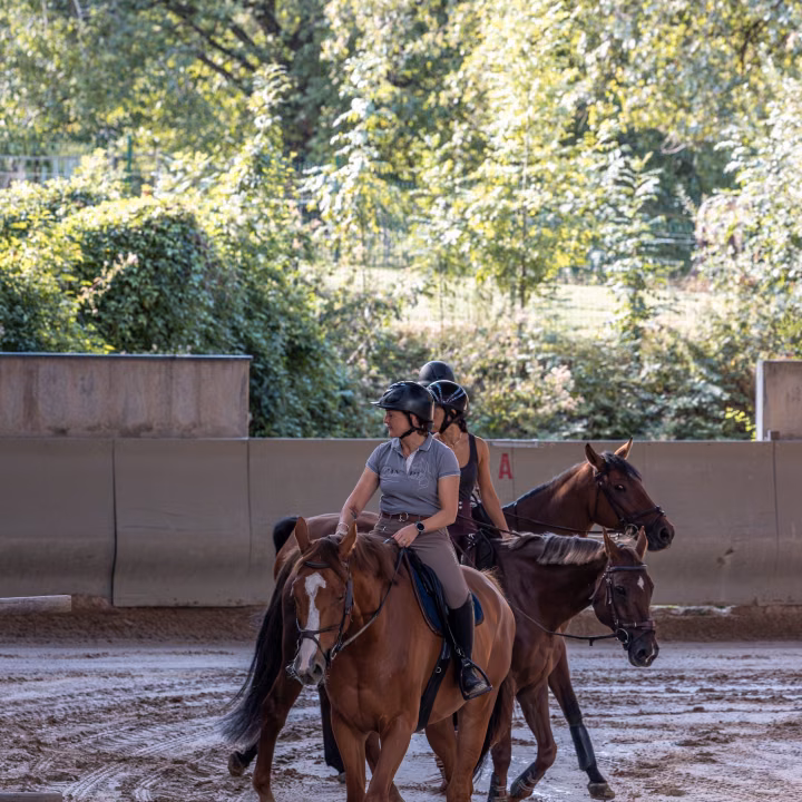 Deux cavalières casquées sur des chevaux alezans avancent au pas sur le sable humide du manège, devant la lisse en béton.