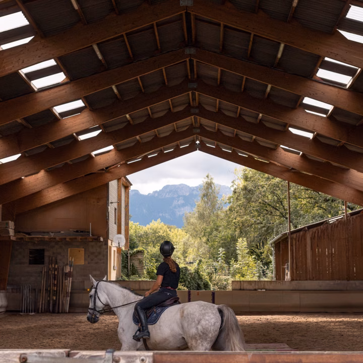 Une cavalière casquée, de dos, monte un cheval gris dans le manège couvert, sous la charpente en bois, la montagne au fond.