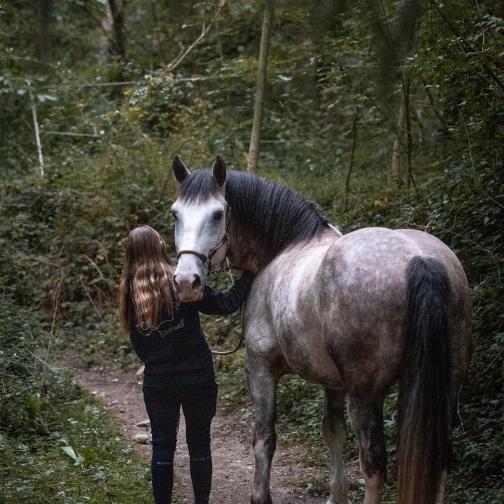 Une jeune femme de dos tient un cheval gris pommelé par la tête sur un sentier de forêt, entre des feuillages sombres.