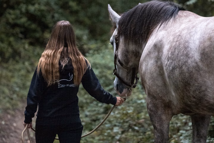 Une jeune femme de dos, cheveux longs, mène en main un cheval gris pommelé sur un sentier de forêt, longe détendue.