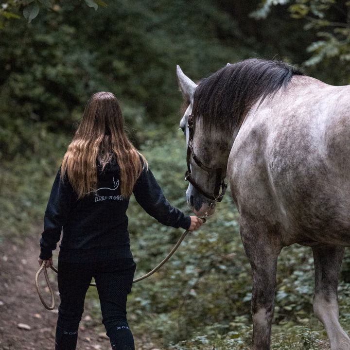 Une jeune femme de dos, cheveux longs, mène en main un cheval gris pommelé sur un sentier de forêt, longe détendue.