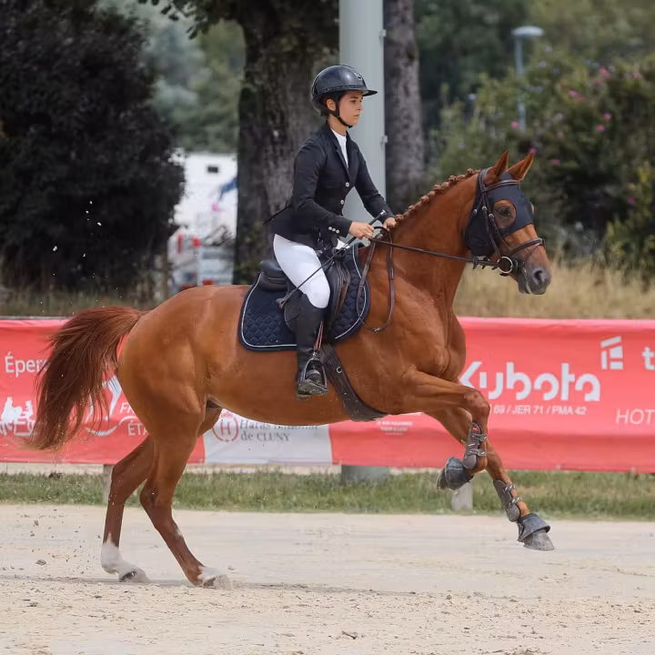 Jeune cavalier au galop sur un cheval alezan en concours