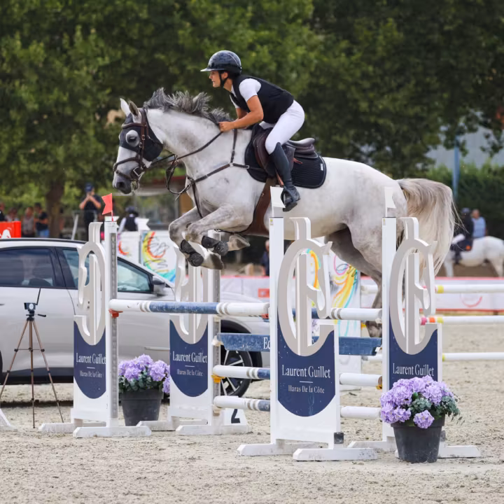 Cavalière franchissant un obstacle blanc sur un poney gris en concours