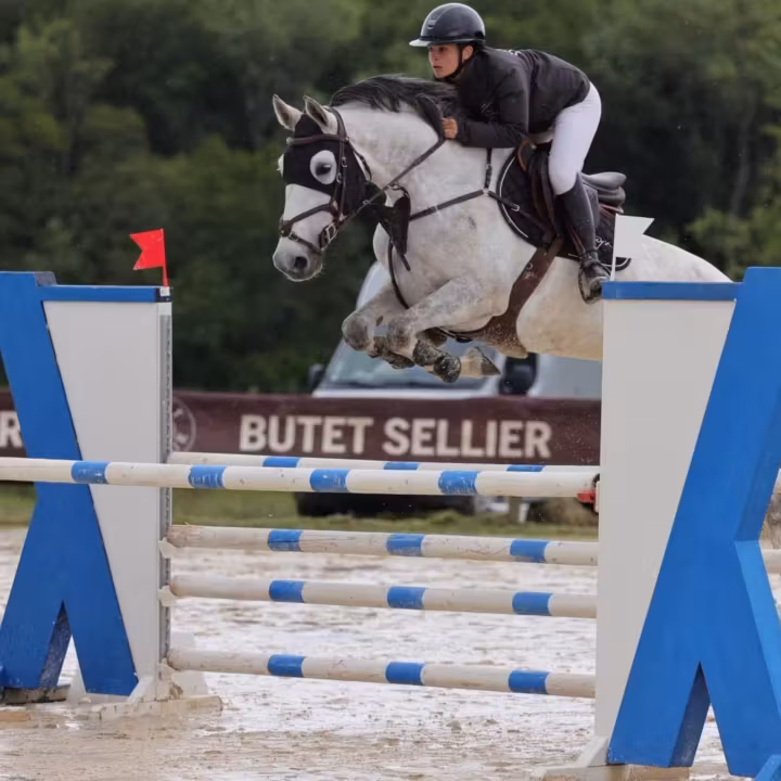 Poney gris et sa cavalière au-dessus d’un obstacle bleu et blanc
